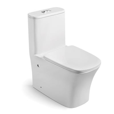 Modern White Ceramic One Piece Toilet Floor Mounted P Trap S Trap Dual Flush alongado