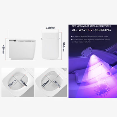Hôtel moderne intégration de la maison Wall Hang Toilet Smart avec séchoir à air chaud chaud