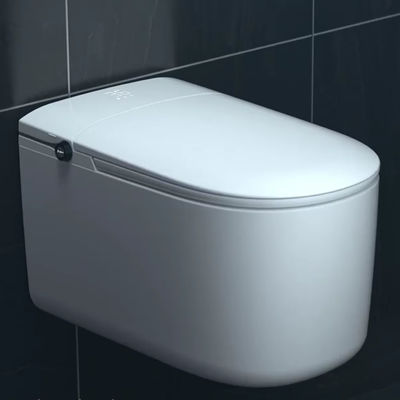Salle de bains ronde électrique automatique évier de toilette Smart plancher monté à distance inclus