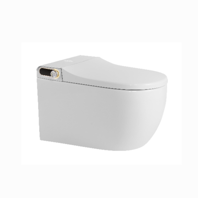 Fabricant indépendant recherche et développement siège de toilette intelligent siège de toilette intelligent Bidet intelligent salle de bain intelligente aux États-Unis