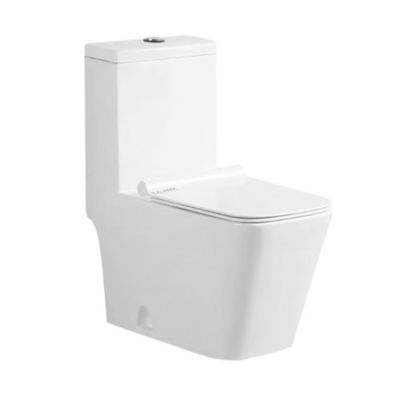 Separate and Integrated Outlet Toilet Seat Urinal Australia Watermark EU CE Saudi SASO Certification Direct Flush