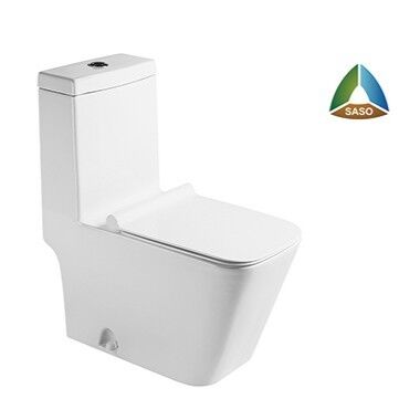 ALLWELL Middle East Saudi Arabia SASO Washdown Toilets,China Factory White Ceramic One Piece Toilet,P-Trap or S-Trap Available