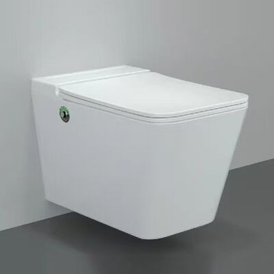 ALLWELL In-tank Japanese Toilet square Style Wall Mounted square Bidet Toilet and Hidden Water tank Inside the Wc for Bathroom