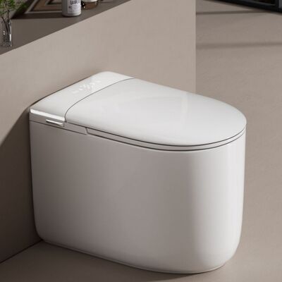 Smart Toilet with Bidet Flush Toilets with Tank for Office Building Project