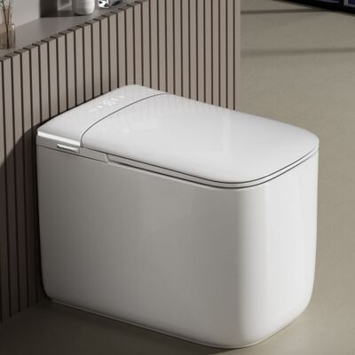 Electric Bidet Toilet with Auto Lid Opening Intelligent Toilet with Tank for Wholesale