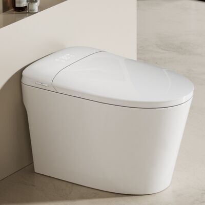 Smart Toilet with Bidet Built In with Warm Water Sprayer and Dryer Heated Seat toilet with LED Display for Bathroom