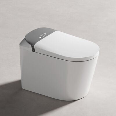 Watermark Certificated Smart Toilet Sanitary Ware Siphonic Automatic Flush Intelligent Smart Toilet