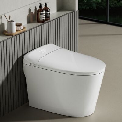 CE Certificate Europe Design Styles Wall-Hung Intelligent Smart Ceramic Toilets